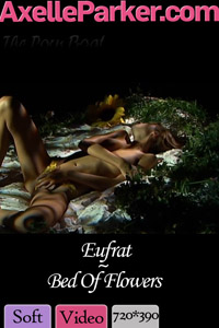 Eufrat  - Bed Of Flowers