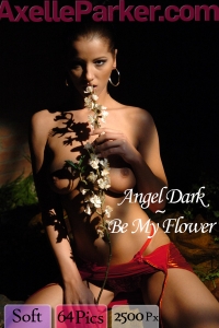 Angel Dark - Be My Flower
